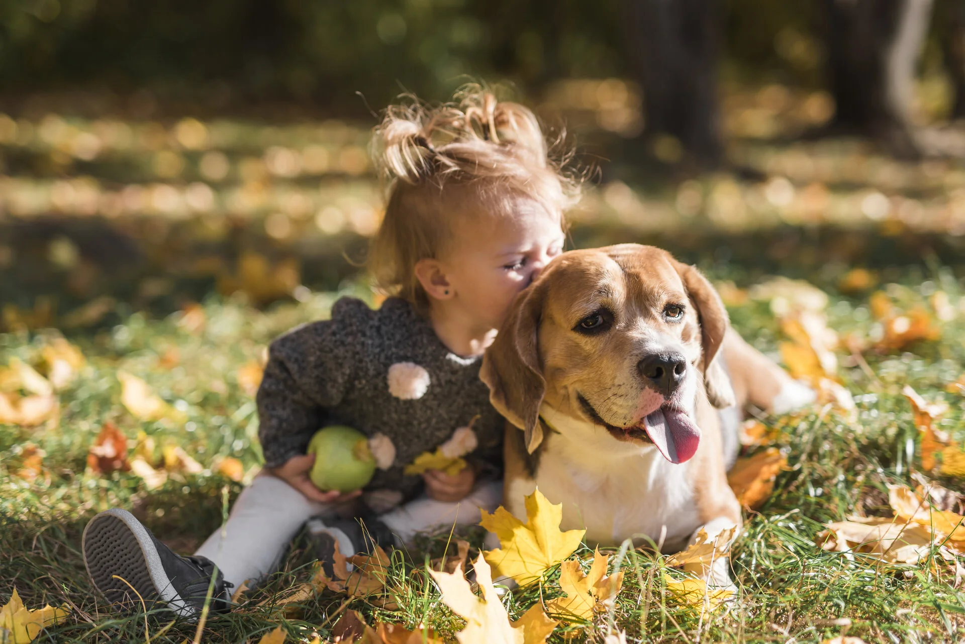 Accompagnement bienveillant pour surmonter la peur des chiens