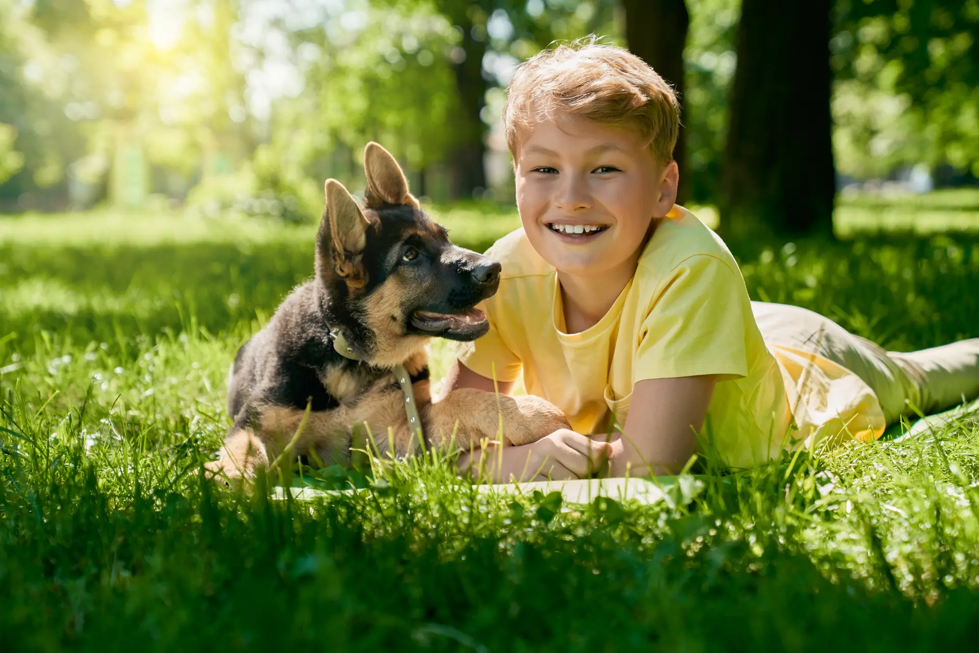 Enfant et chien dans un parc, dans une relation calme et respectueuse