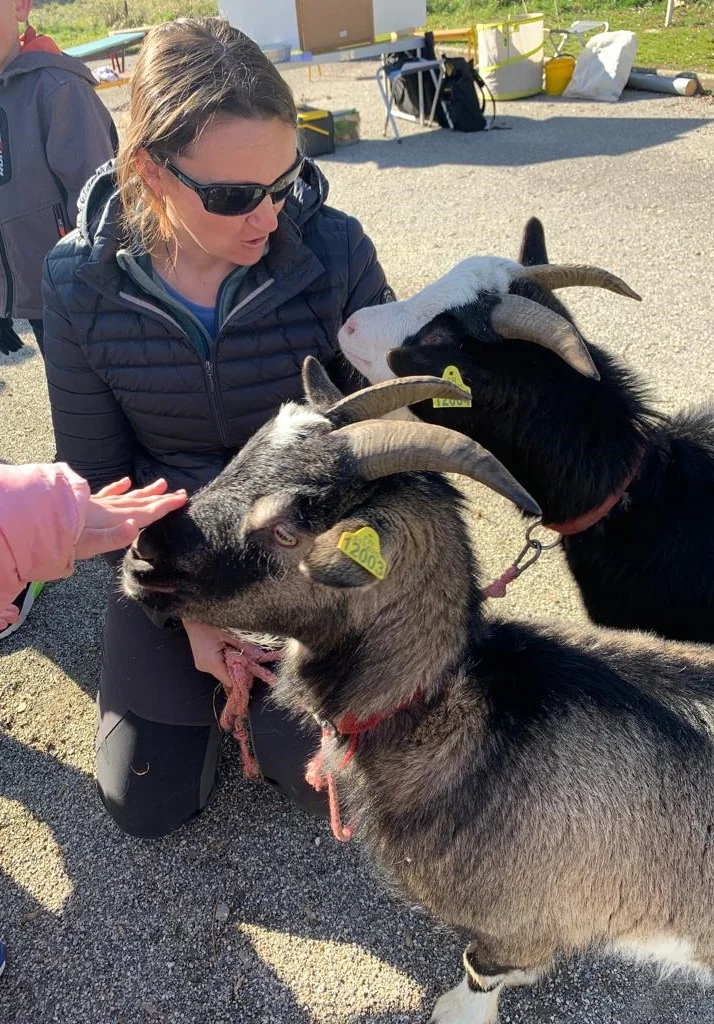 Moment de Médiation par l'animal