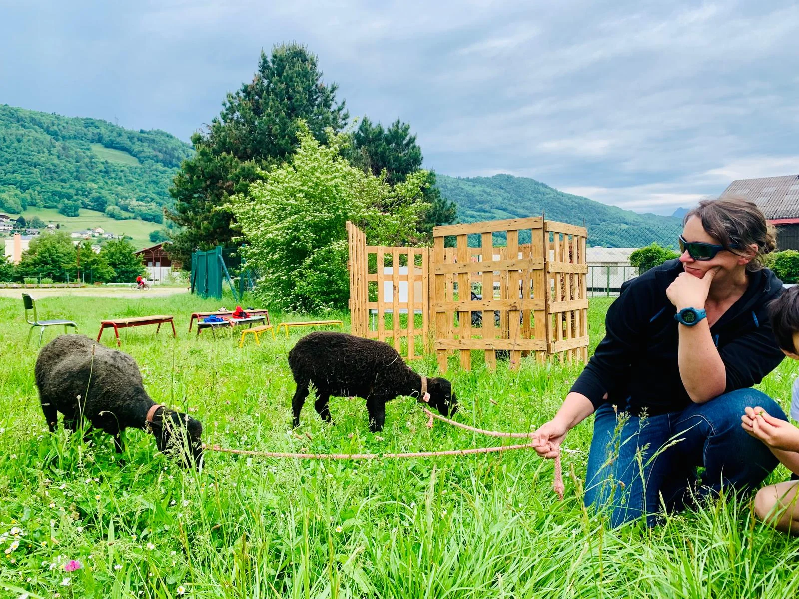 Mes animaux au quotidien