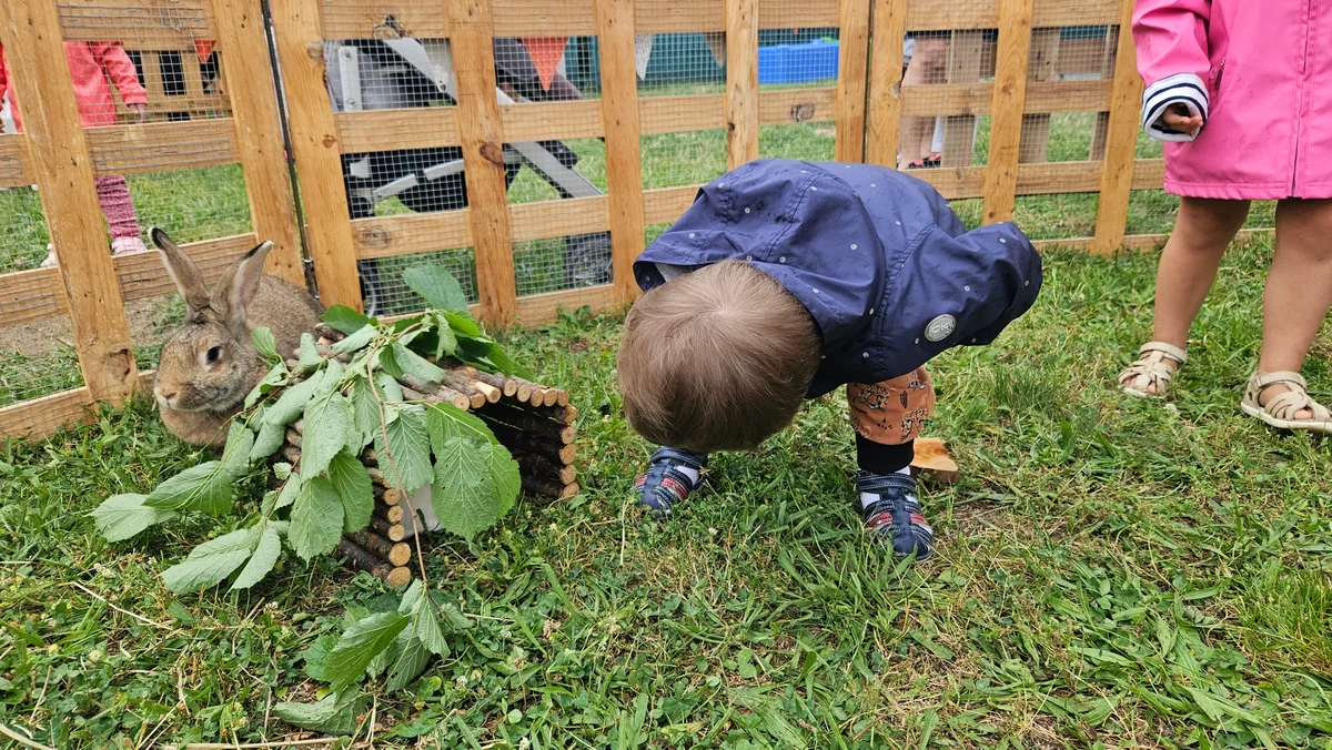 Un enfant penché observe un lapin sous une petite cabane en bois lors d'un atelier d'éveil