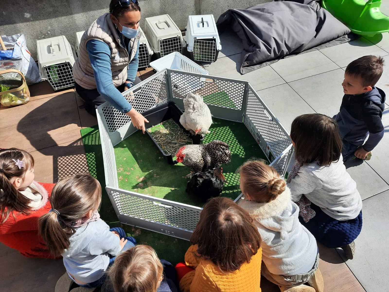 Mes animaux lors d'une intervention
