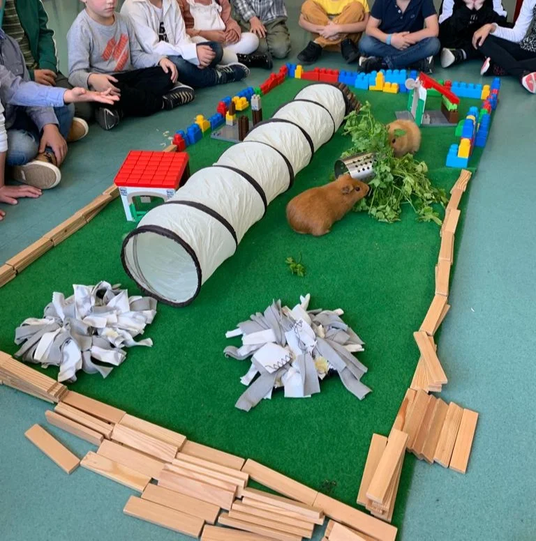 Enfants qui donnent à manger à une poule lors d'un atelier pédagogique