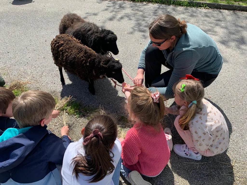 Intervention de médiation par l'animal