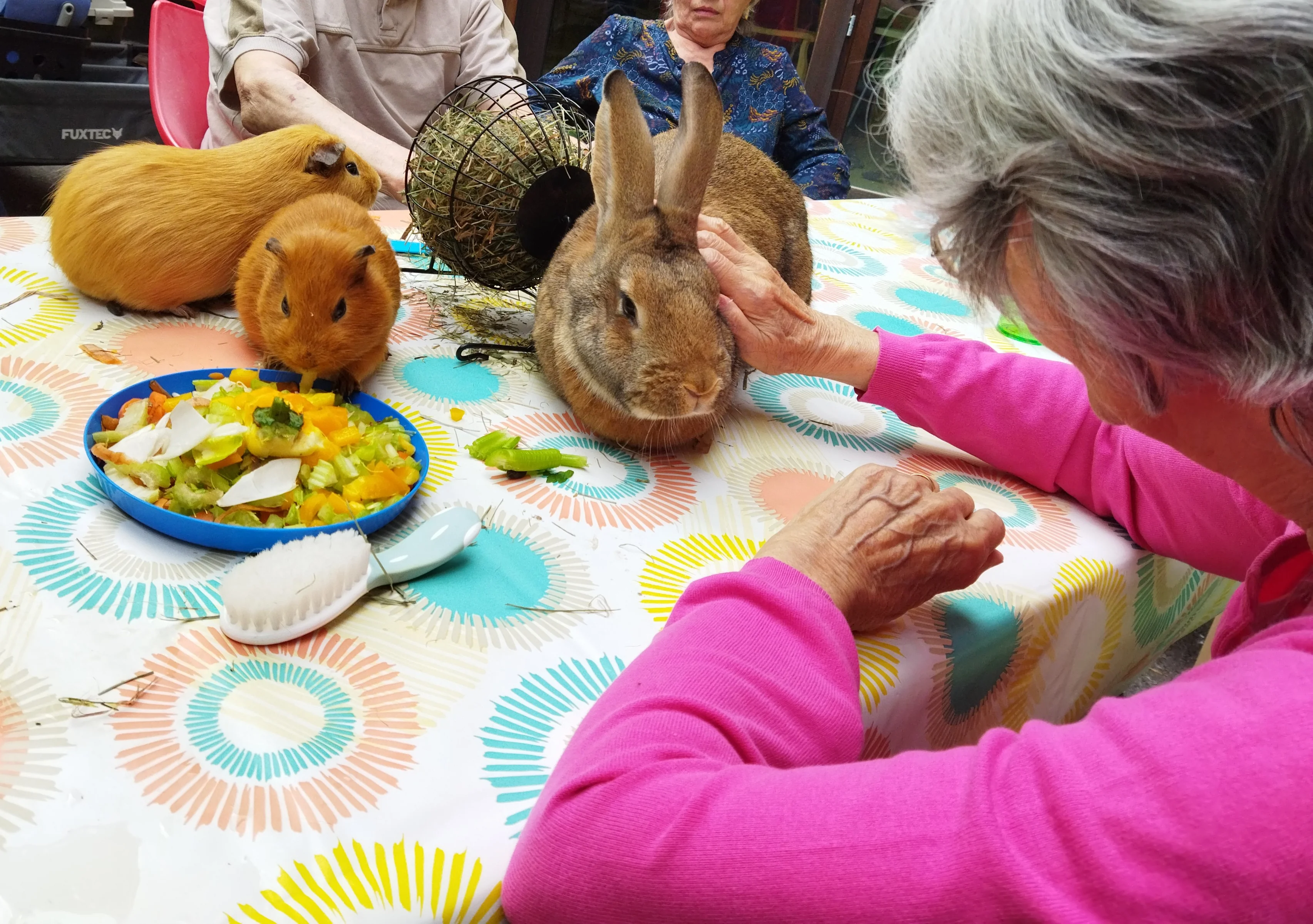 Atelier pédagogique mai 2022