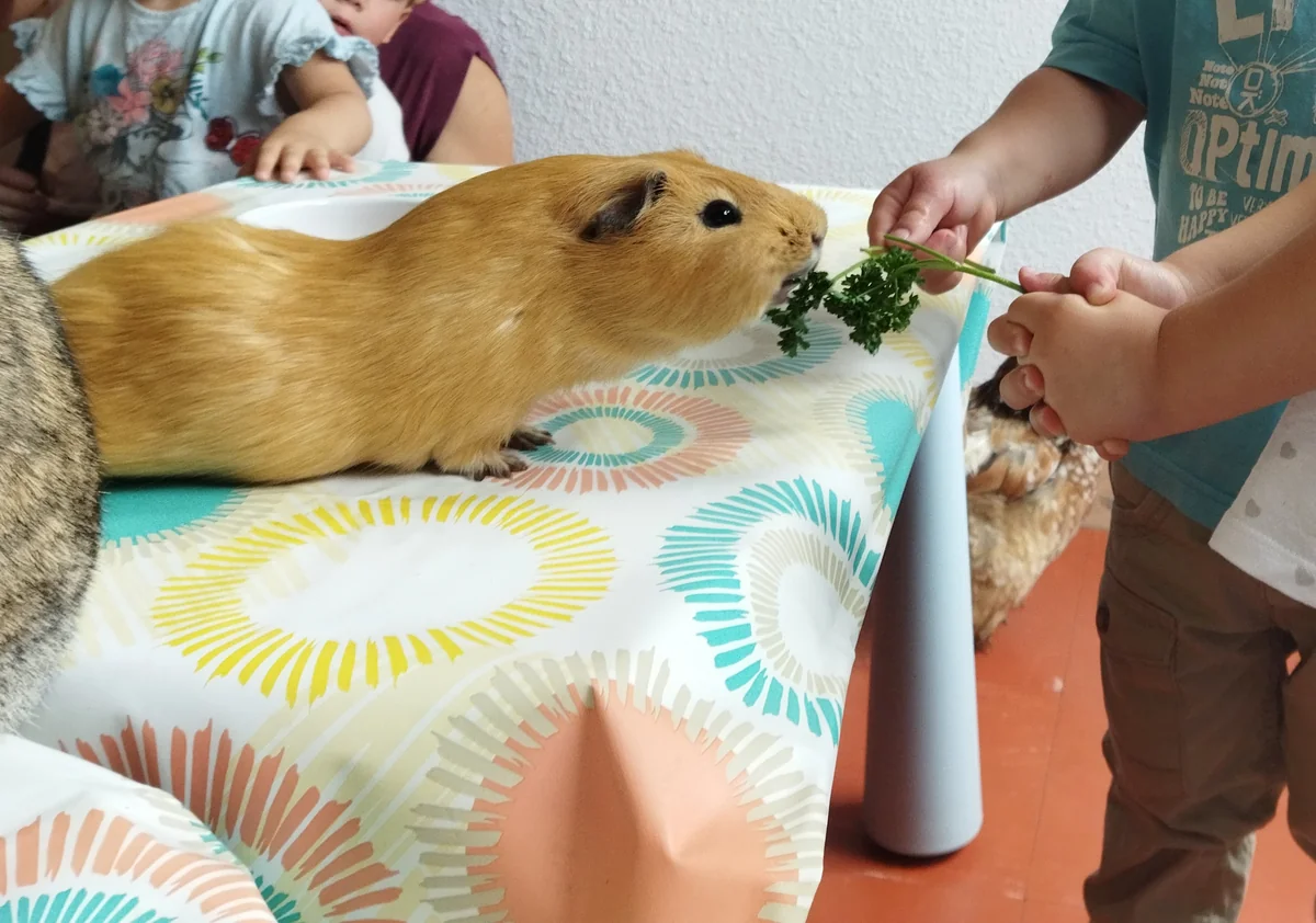 Animation pédagogique avec les animaux