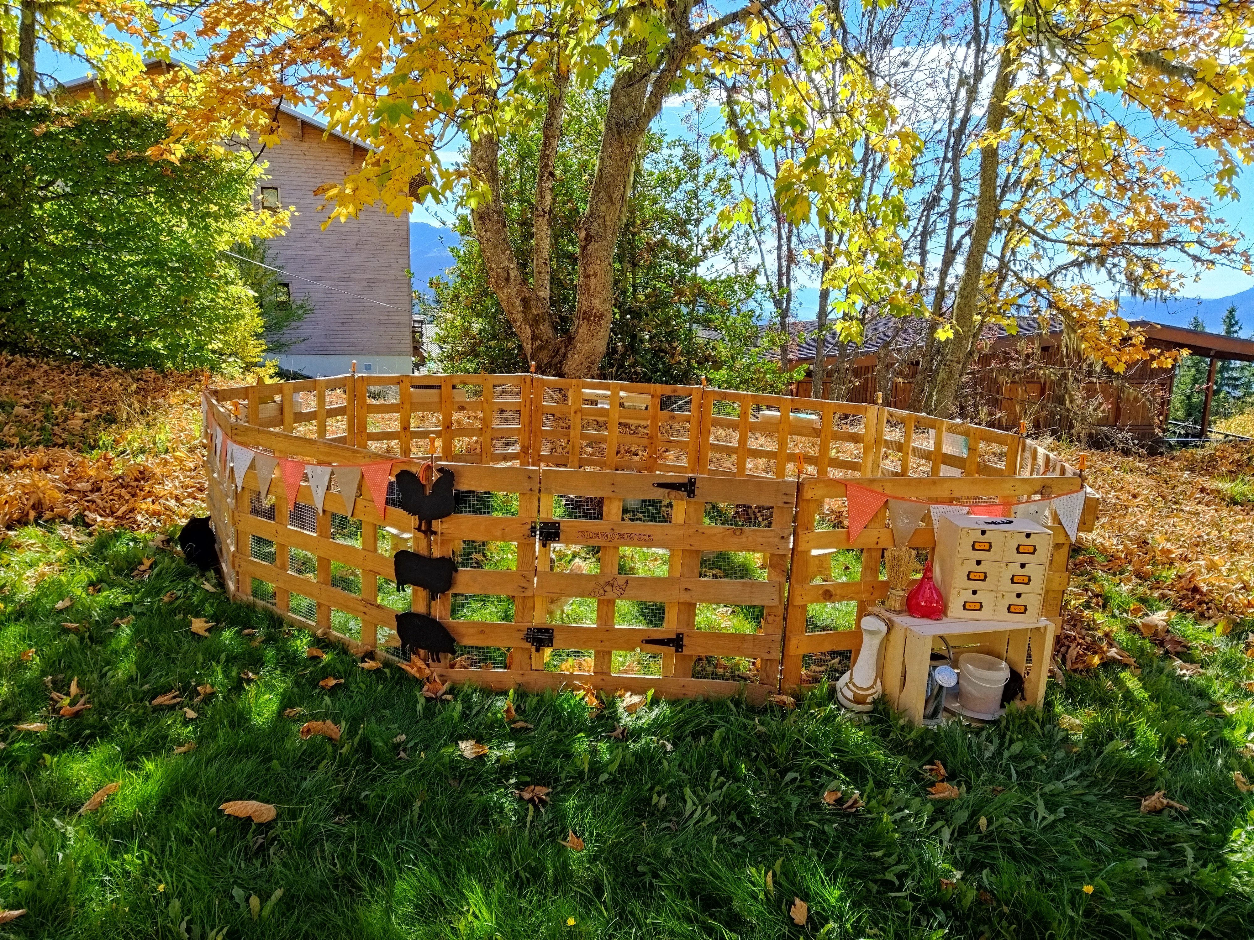 Moment privilégié de Médiation par l'animal