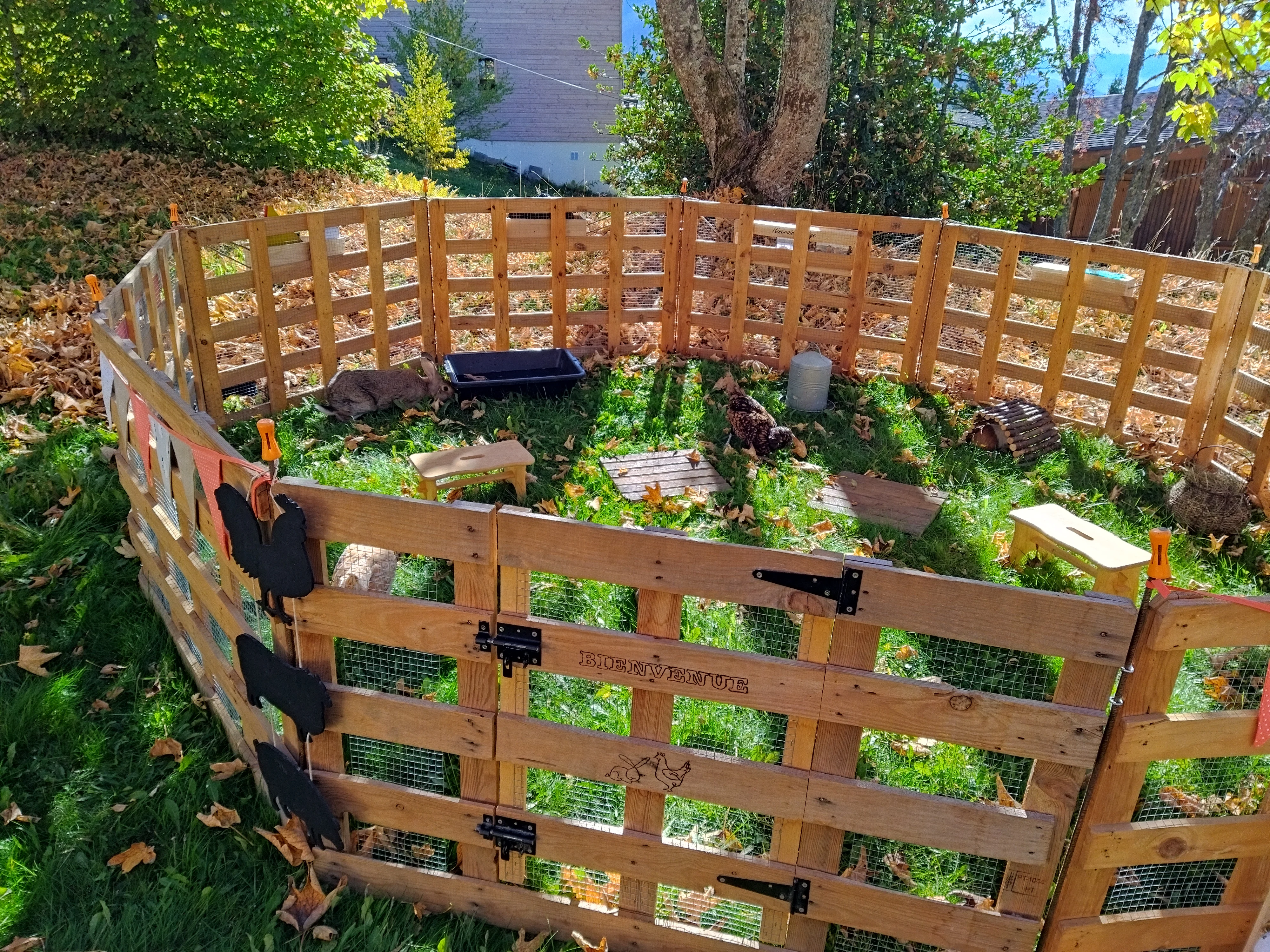 Échanges avec les animaux octobre 2022