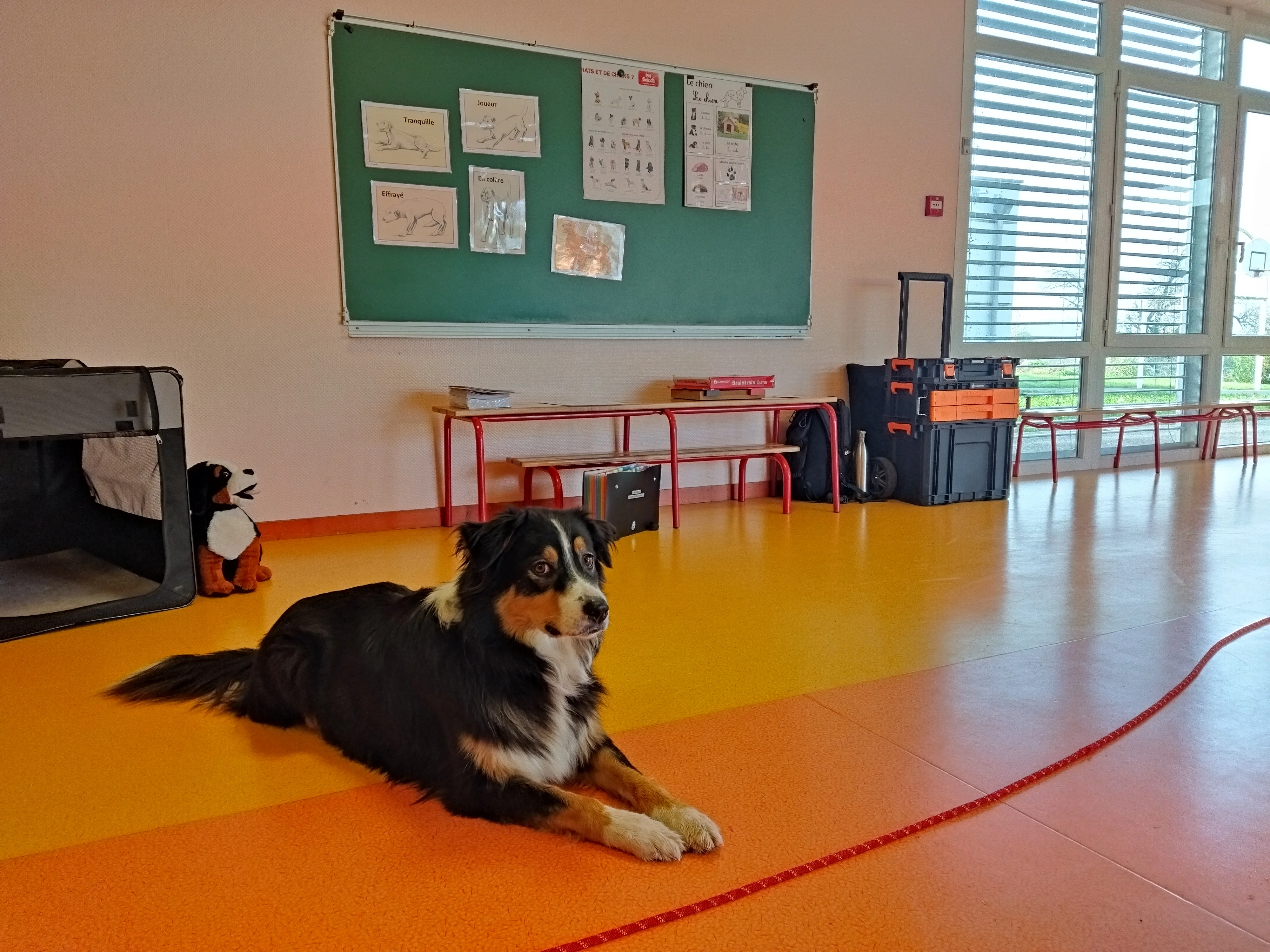 Séance d'automne novembre 2024