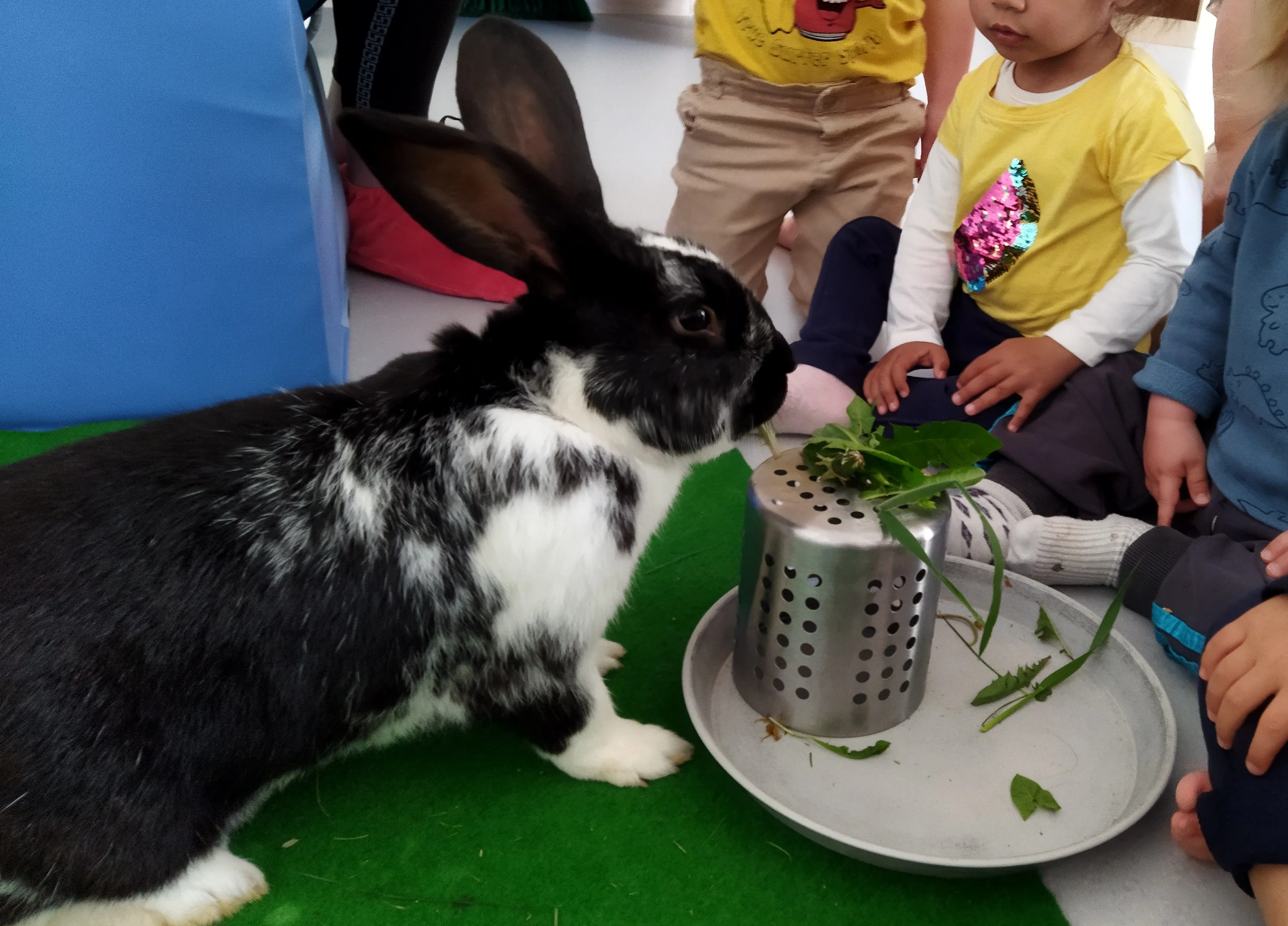 Atelier pédagogique avec les animaux de la ferme