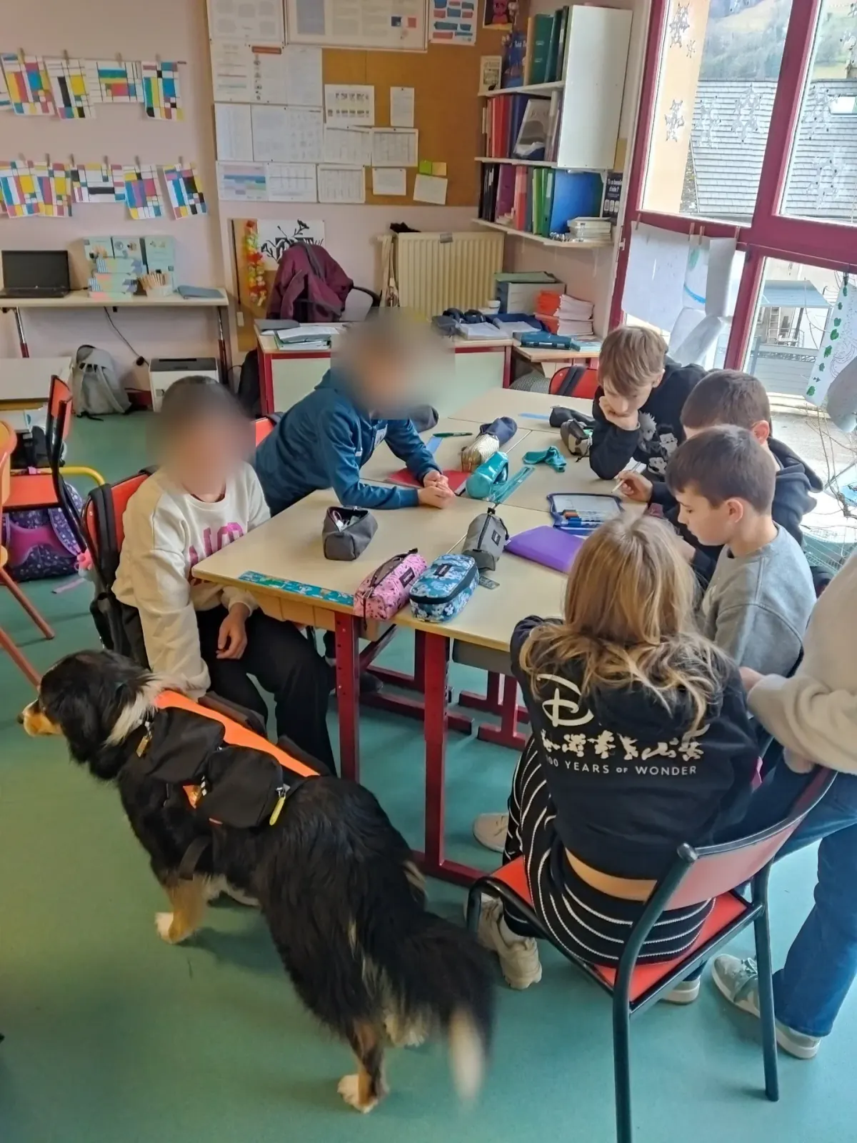 Séance de médiation par l'animal en classe, visages des enfants floutés