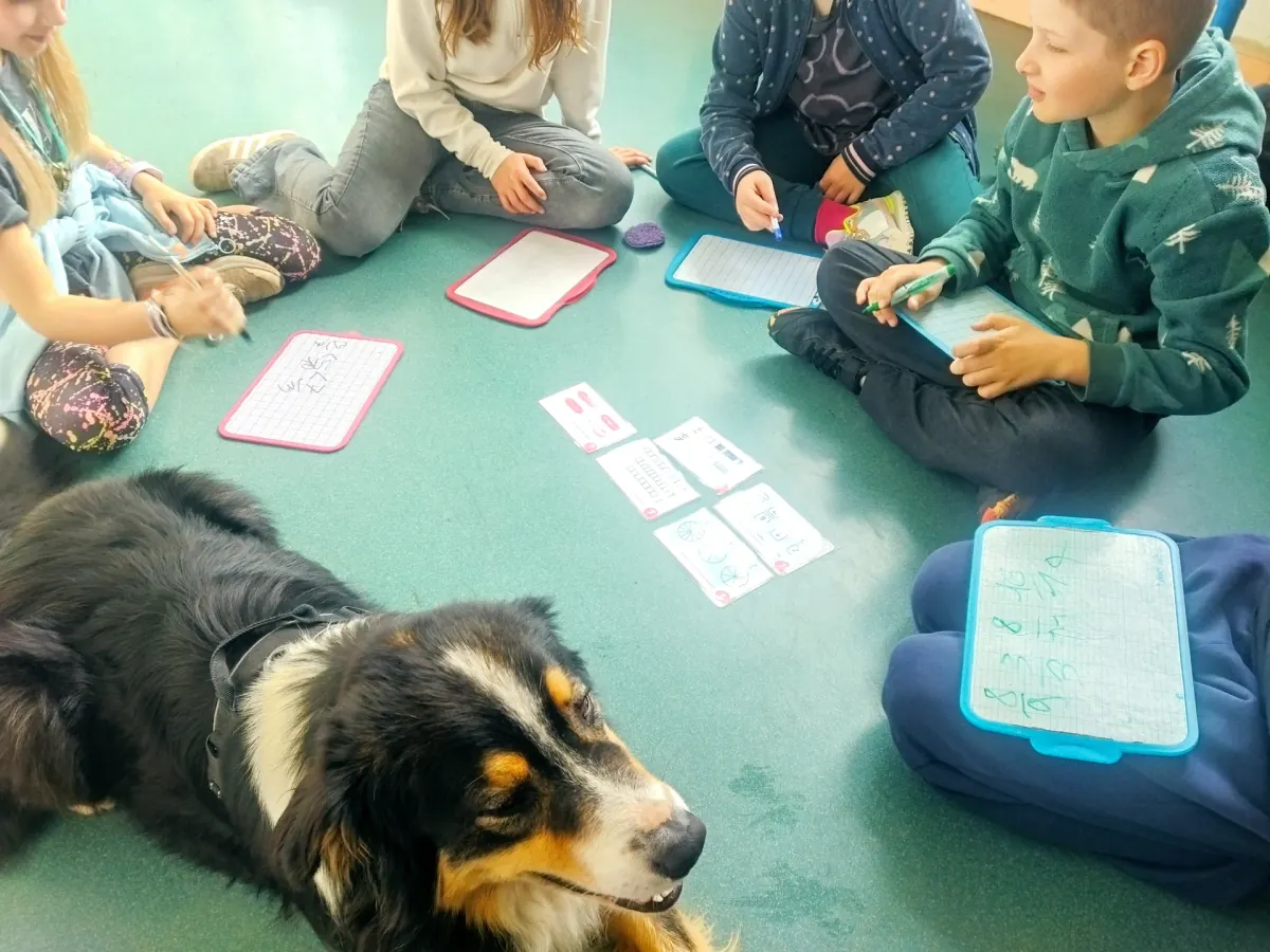 Séance de médiation par l'animal en classe avec le chien