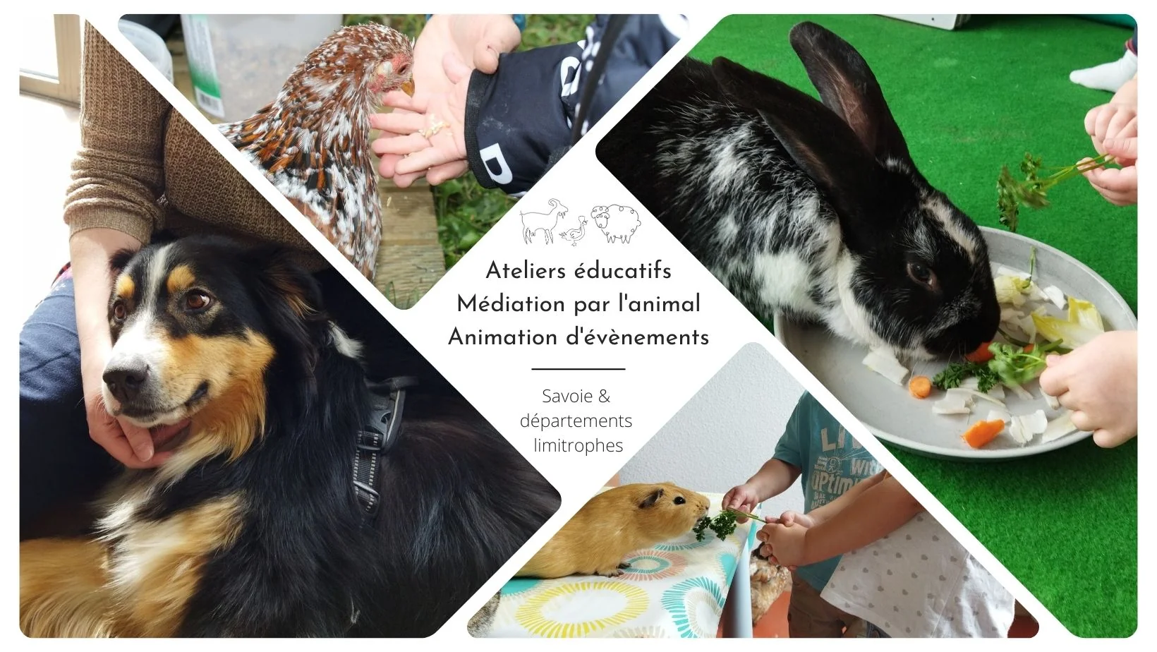 Animation pédagogique avec les animaux de Plumes Poils & Compagnie en Savoie