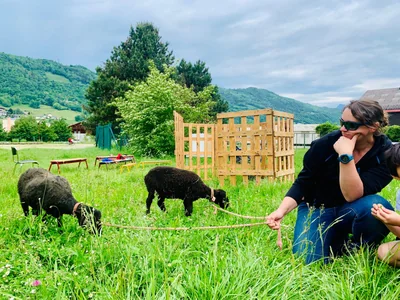 Atelier « Zoom sur les animaux de la ferme » - Présentation des moutons