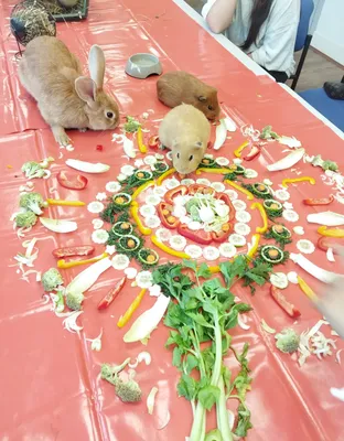 Réalisation d'un mandala gourmand