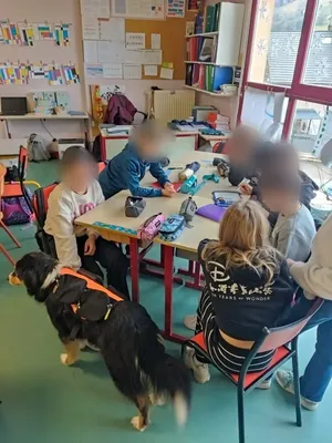 Séance de Médiation par l'Animal en Milieu Scolaire