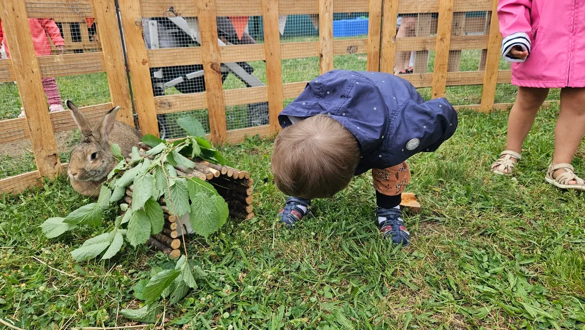 Un enfant penché observe un lapin sous une petite cabane en bois lors d'un atelier d'éveil