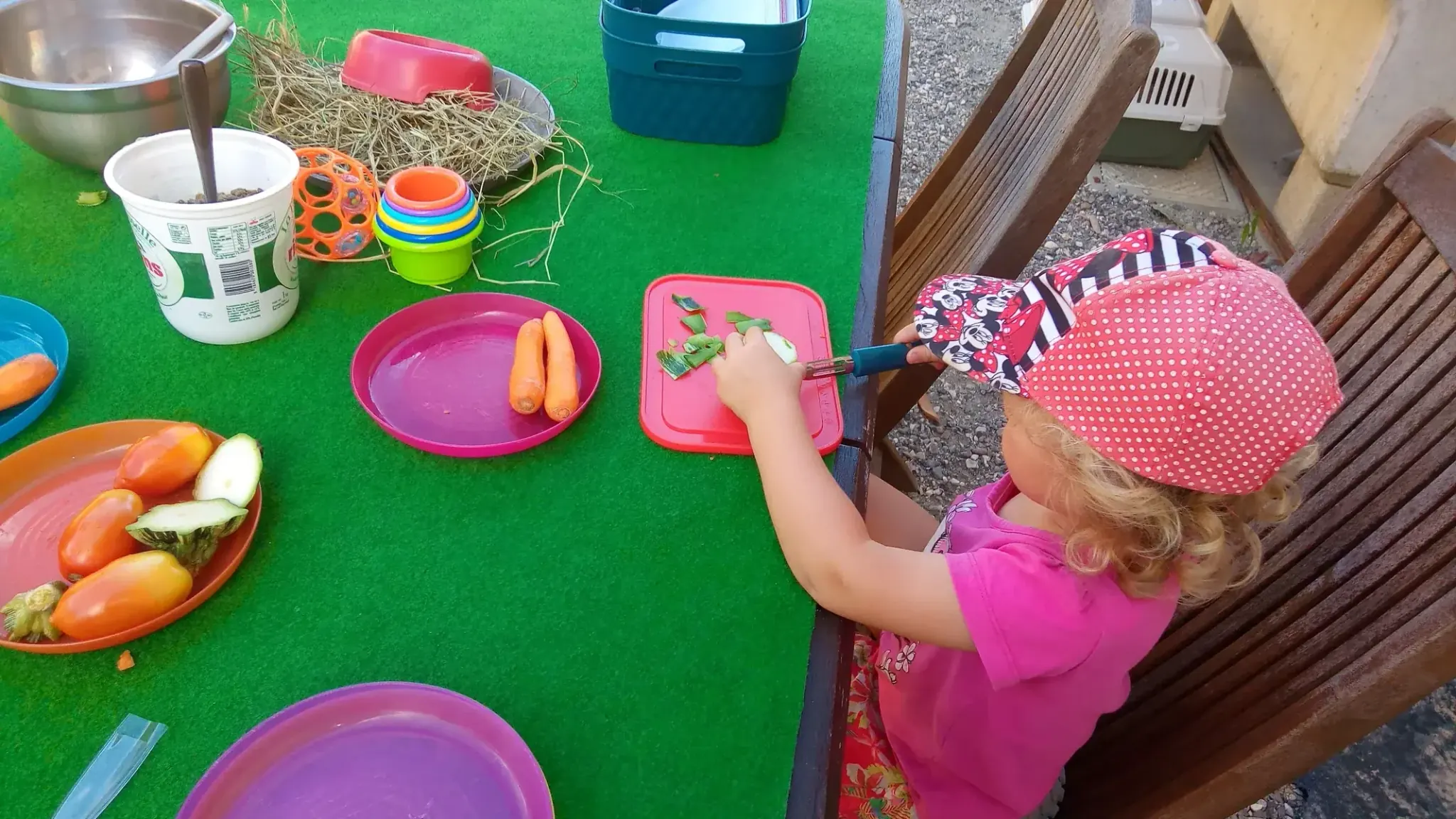 Enfant préparant des légumes pour les animaux à la mini-ferme