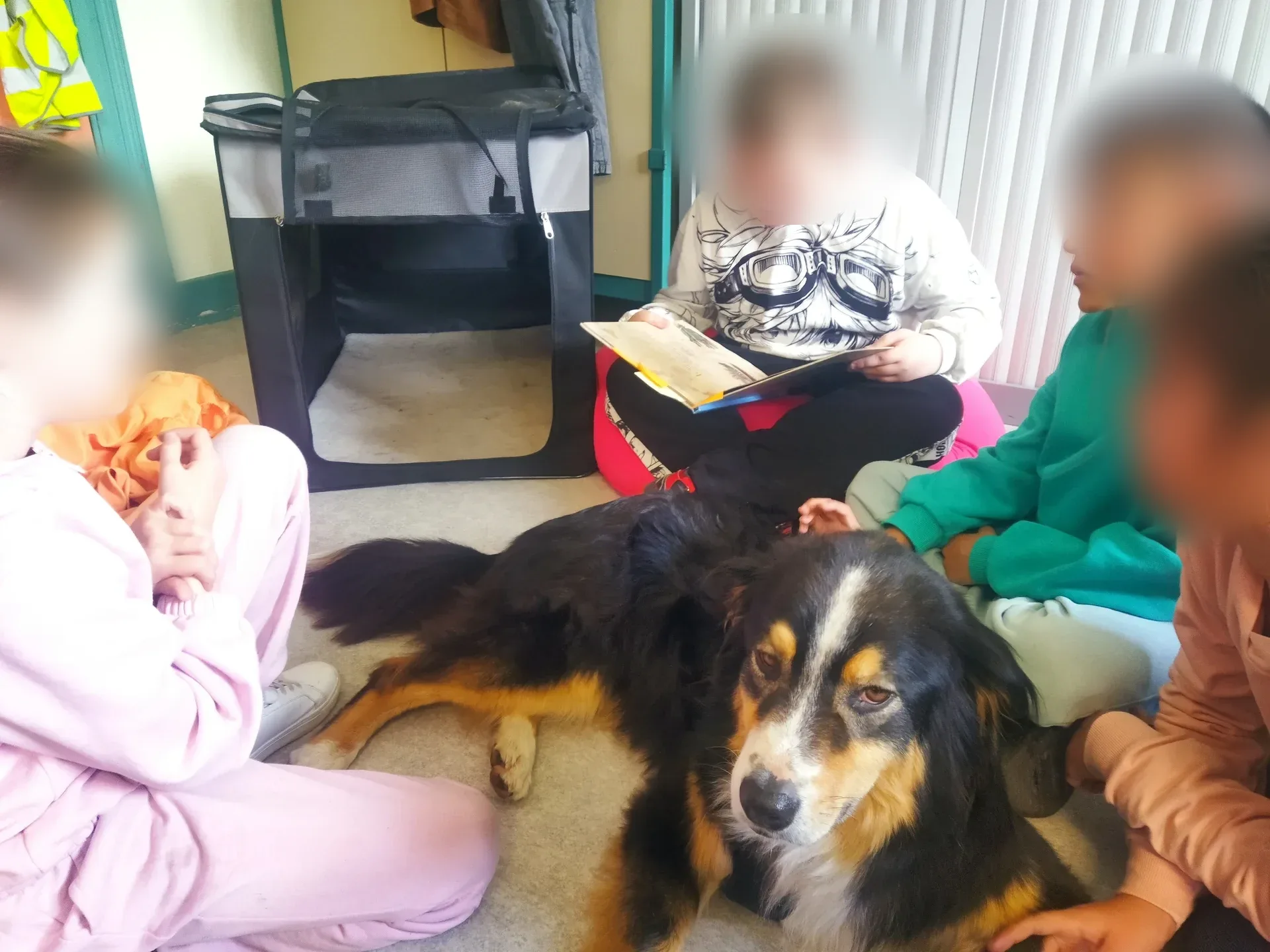 Groupe d'enfants lisant auprès du chien, visages floutés