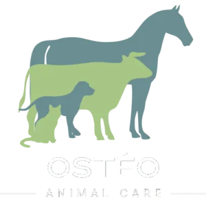 Ostéo Animal Care