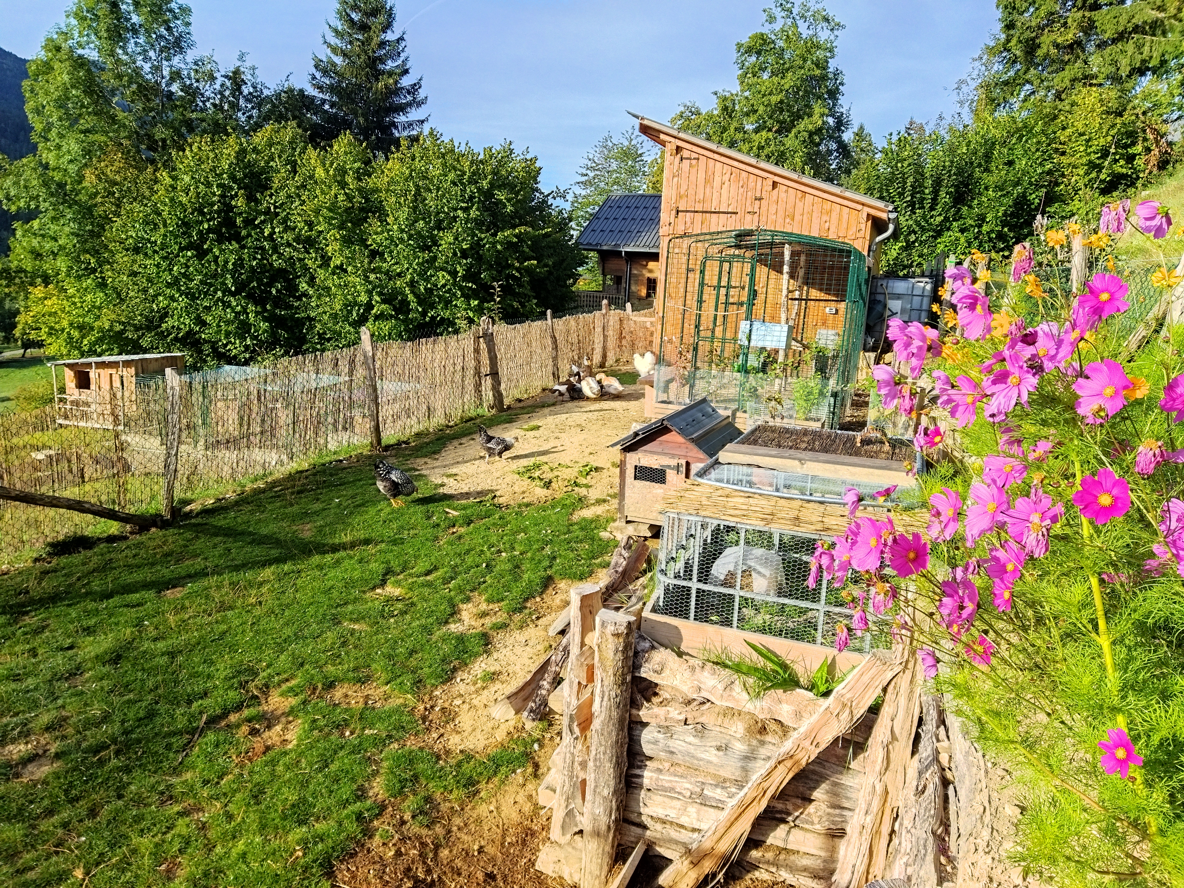 La mini-ferme et son environnement naturel