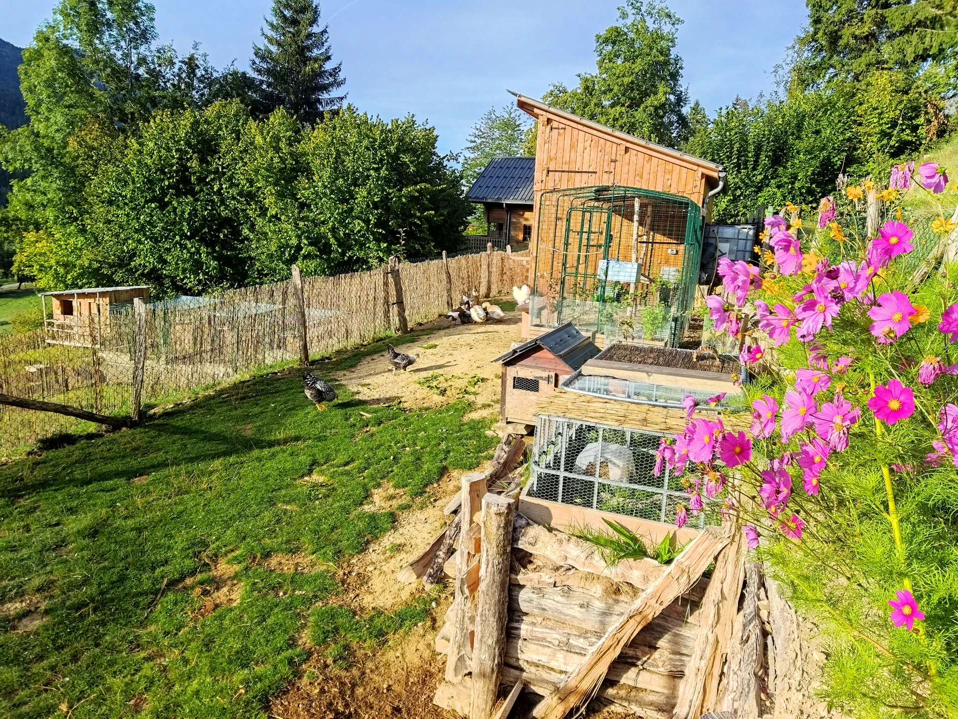 La mini-ferme et son environnement naturel